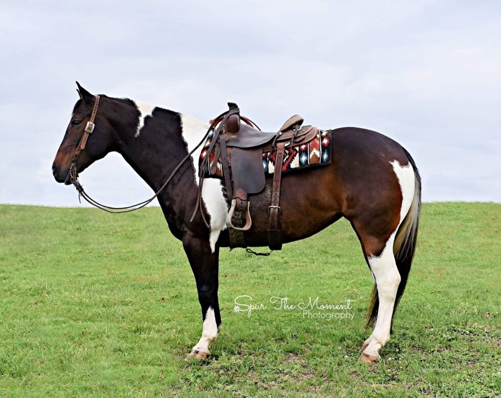 Ranchy