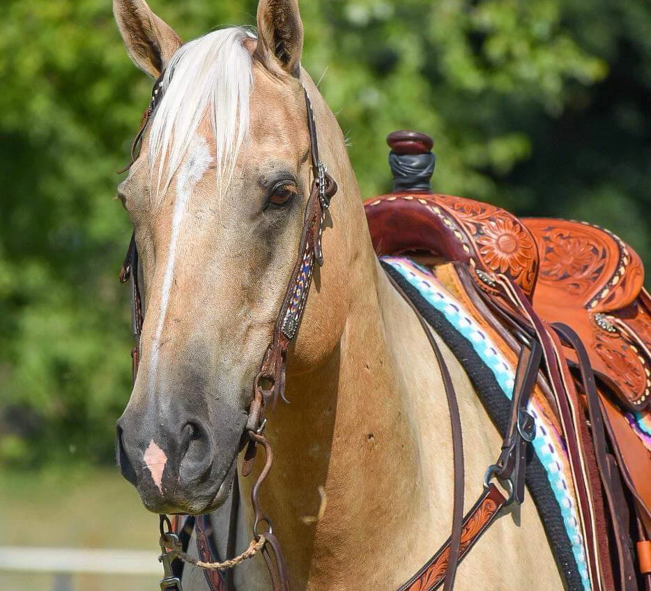 Ranchy
